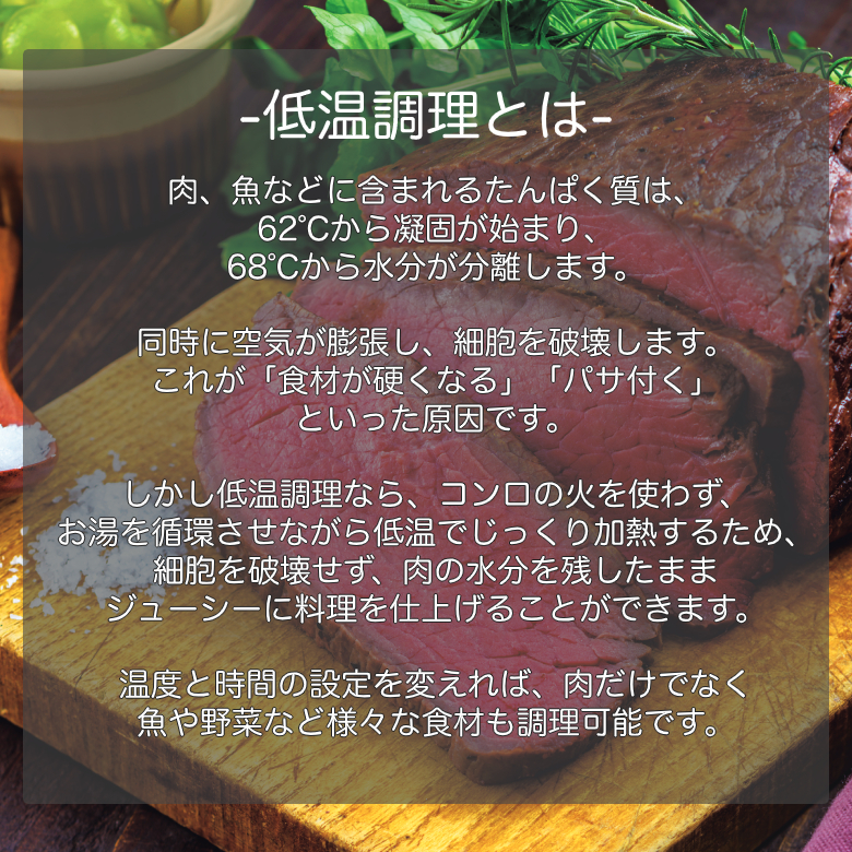低温調理器 GH-SVMA 水温制御 タイマー付 スロークッカー 防水 低温調理器 GH-SVMA 水温制御 タイマー付 スロークッカー 防水